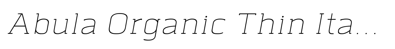Abula Organic Thin Italic
